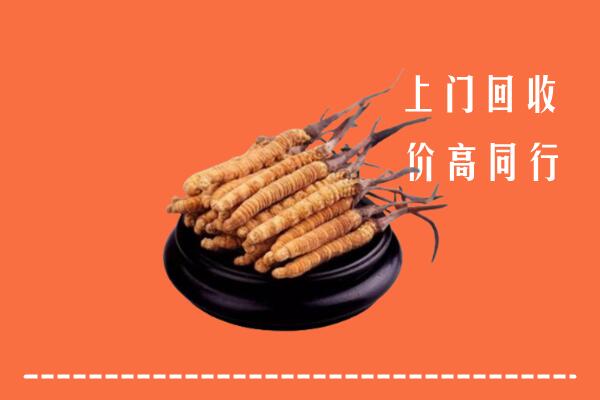 高价求购：邕宁回收散虫草