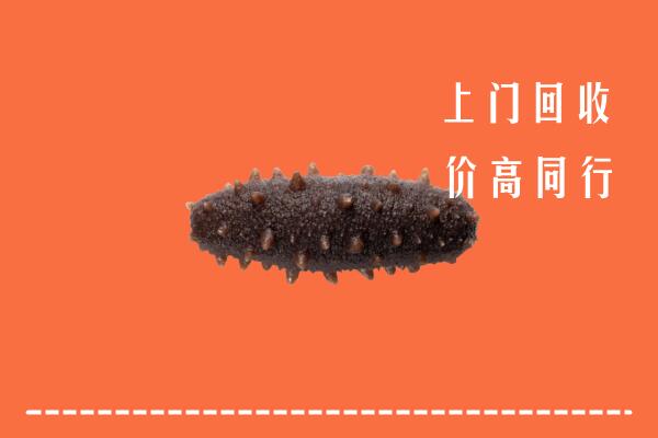 高价求购：邕宁回收海参