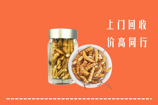 邕宁回收冬虫夏草