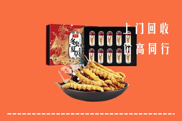 邕宁回收虫草